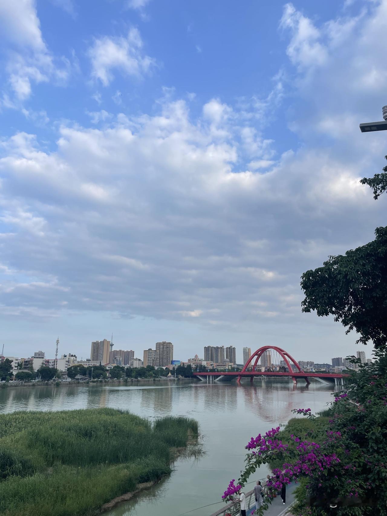 特此申明：
⚠️本号因评论热点财经事件，多次被举报限流，被平台警告。因此，以后将