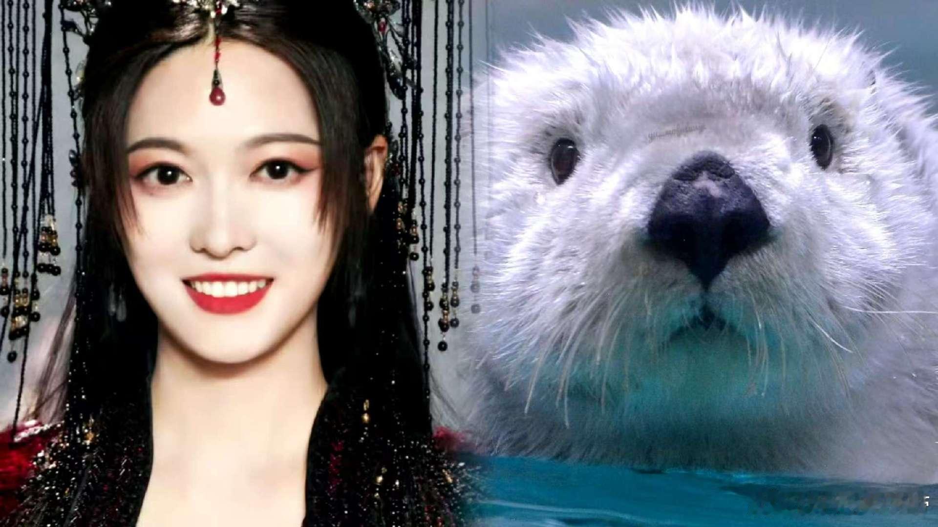 MV循环播放中！OST好好听，李佳薇的嗓音太有感染力，搭配陆婷玉演的海獭，画面感