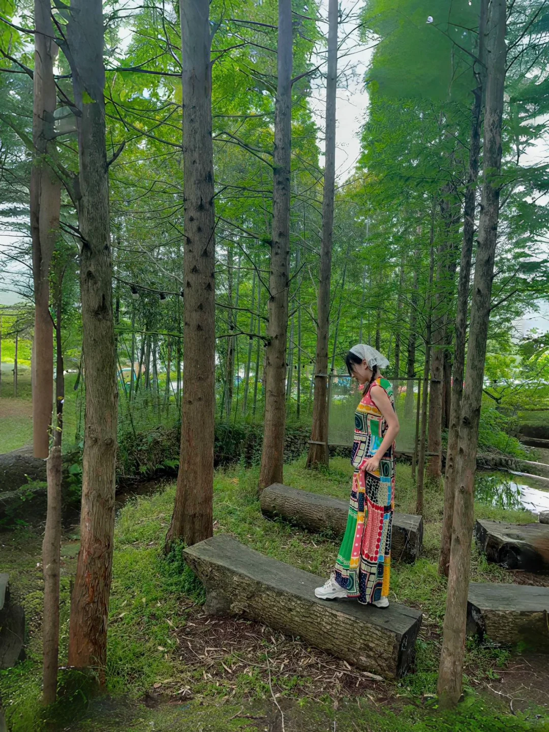 西塞山⛰️找到梦里的那片绿光茶园🍃