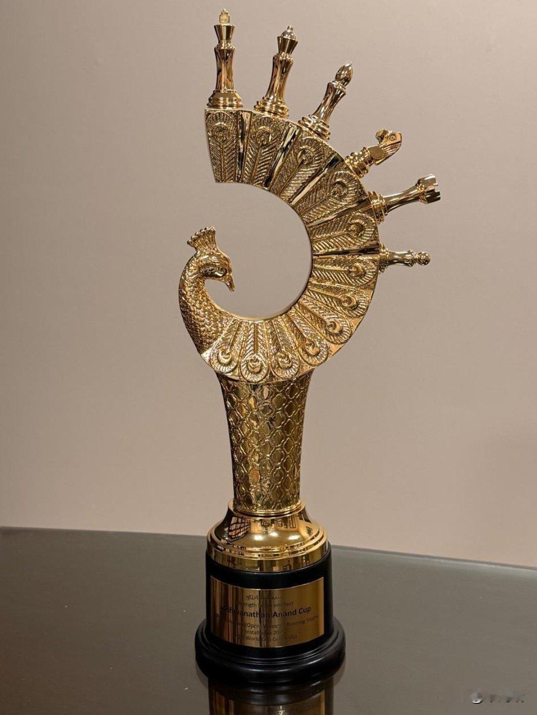 这个奖杯是国际棋联（FIDE）2025 世界杯的冠军奖杯，现已正式命名为维斯瓦纳