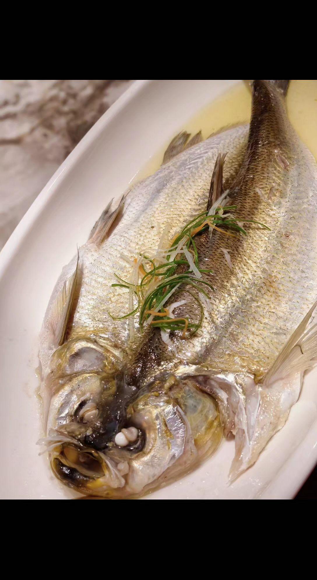 🐟清蒸白鱼卧玉盘，葱姜丝儿跳芭蕾💃。汤汁是月光凝成的诗，鲜得舌尖打颤～