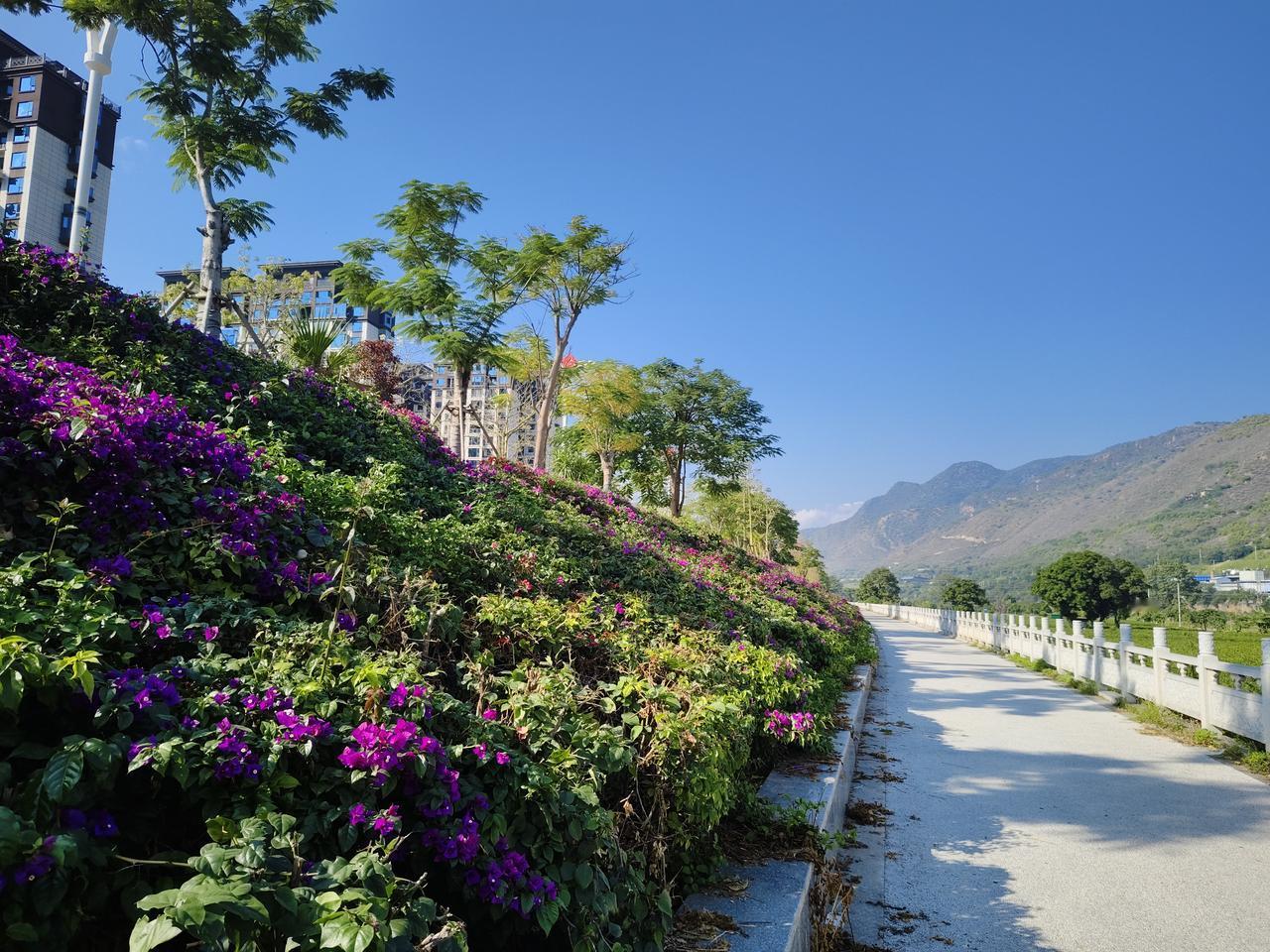 对元江的第一印象
我和老伴儿是第一次来元江。这次来这里主要是寻找猫冬的理想之地，