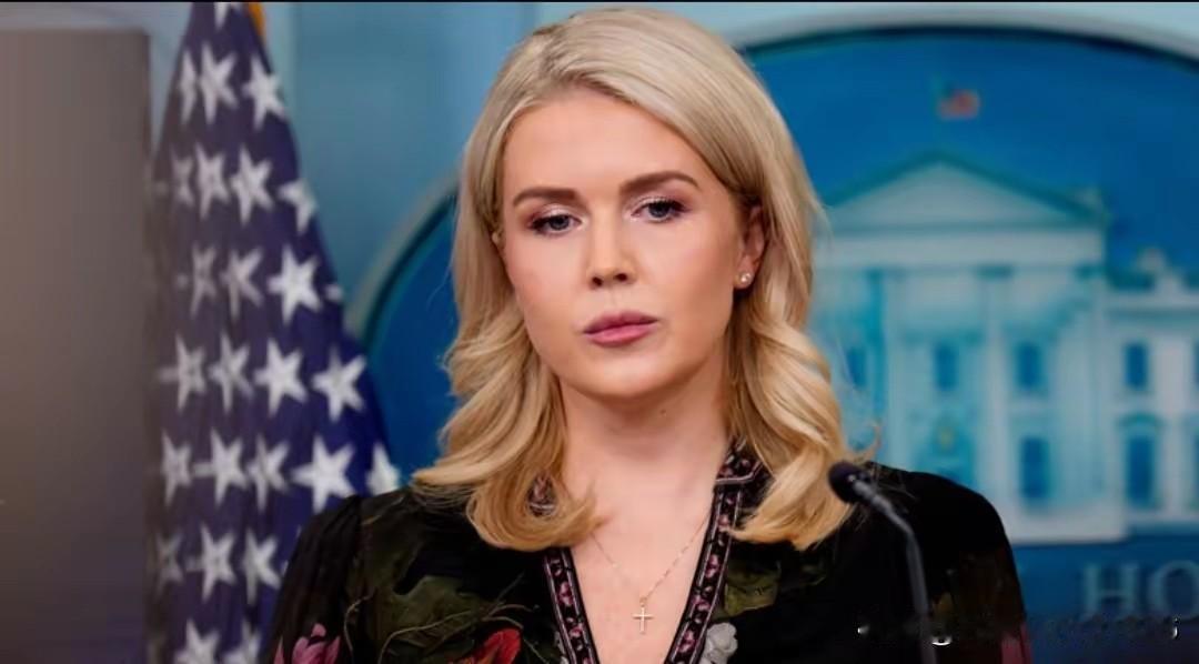 白宫打出了明牌，“美国不惜动武也要拿下格陵兰”！
今天（北京时间1月6号），白宫