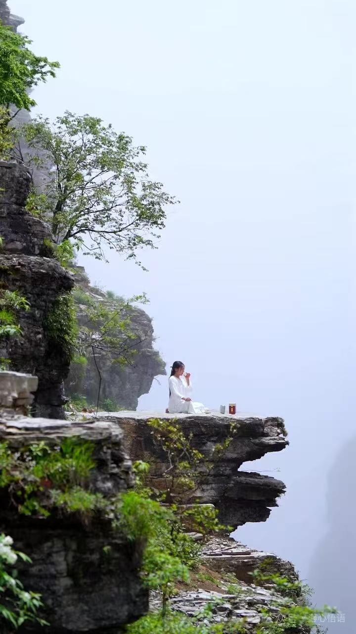 浅吟
熏风轻拂篱边蕊，
一缕幽香惹客思。
绾尽柔情观逝云，
清宁万籁入诗辞。