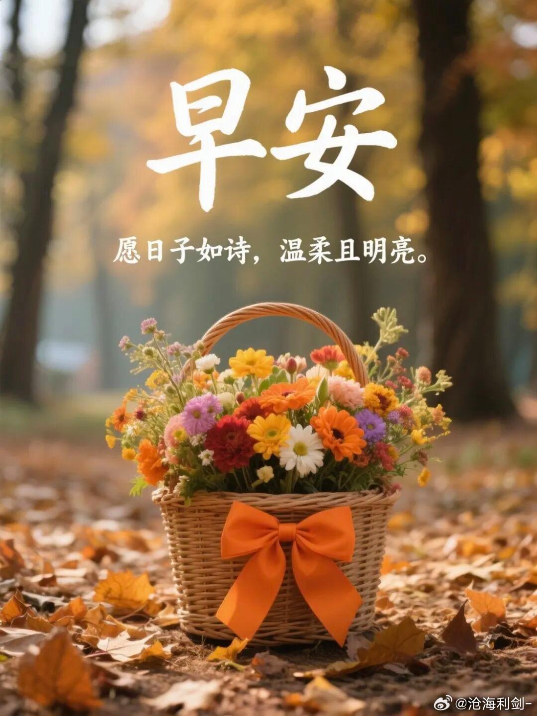 早安新的一天，允许一切发生。不纠结过去，不忧虑未来，活在当下，平静且温柔，早安。