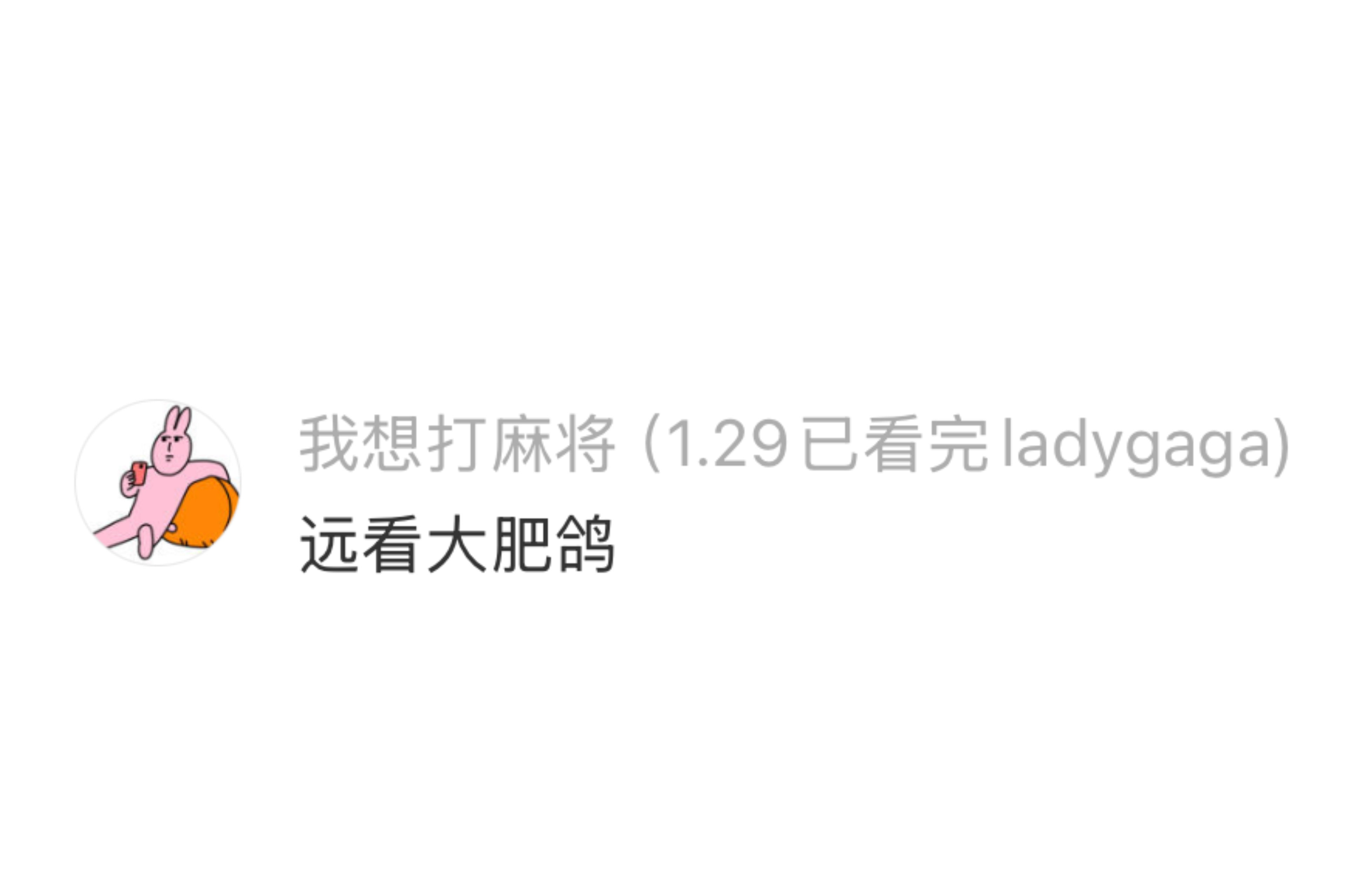 这鸽子怎么长得像母鸡 