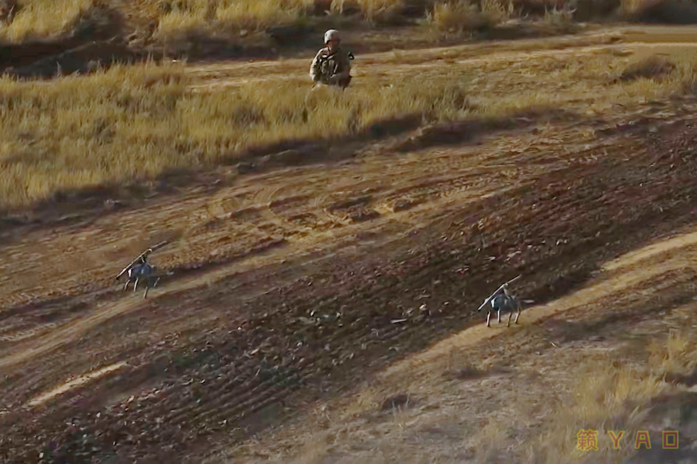 机器狗携带爆破筒破障/开辟通路 ​​​