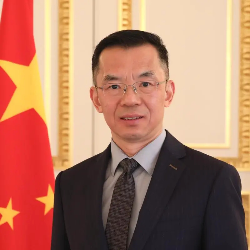 卢沙野大使有一种能力复杂的事情一语道破一一中国内战尚未结束，台湾政权是叛乱政权卢