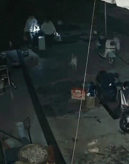 广西，一小伙新年送女朋友回家，起初，还和女友有说有笑，可当他进了女友家院子后，急