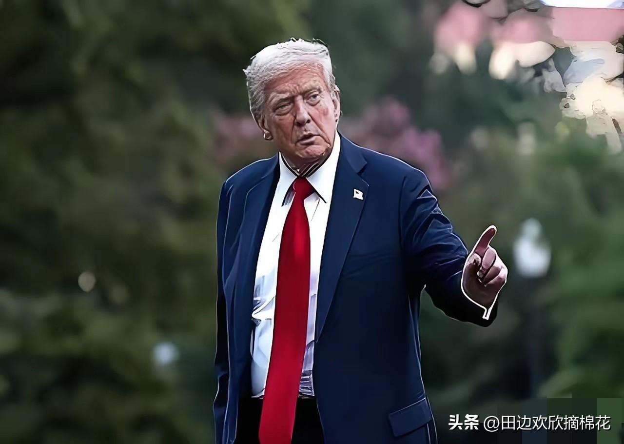 特朗普又整活了，这次直接把窗户纸捅破了。他说，台湾那个地方需要我们罩着，但他们没