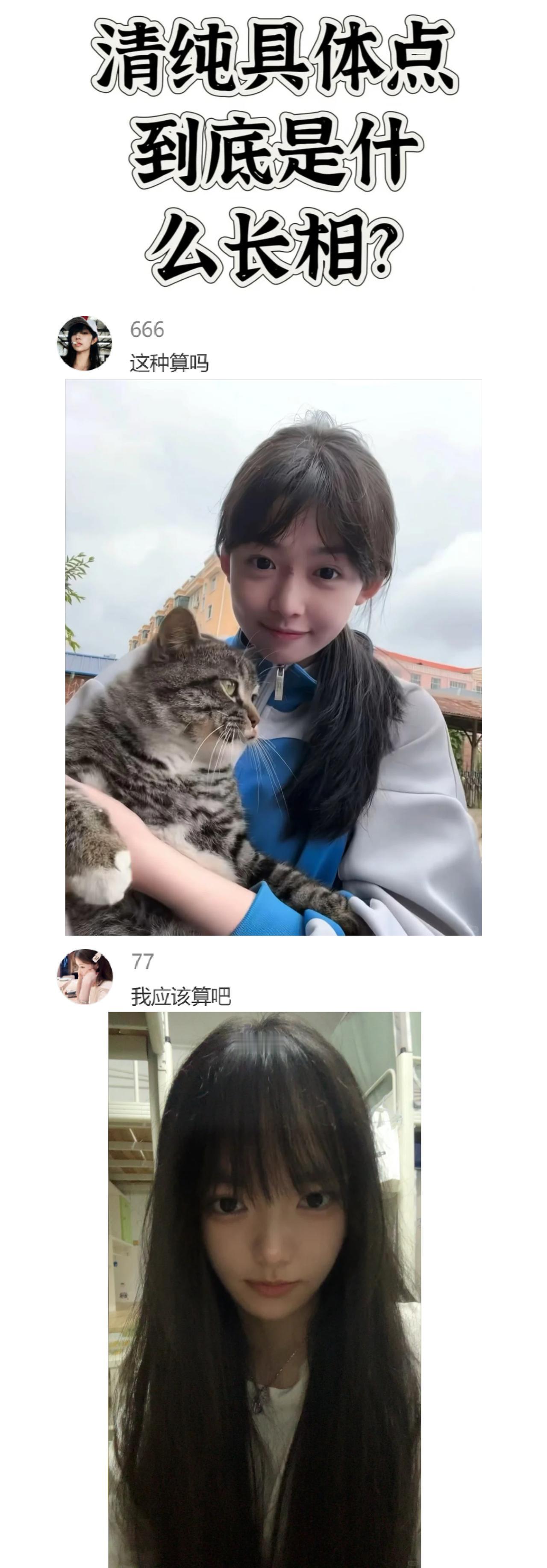 在你心目中，什么样的长相你觉得是属于清纯那一批的？