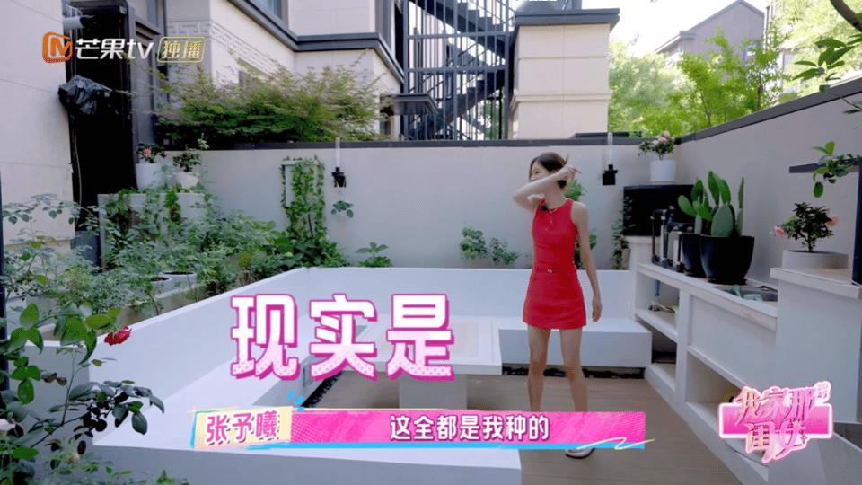 张予曦三颗蓝莓树结四颗蓝莓 张予曦这是什么可爱反差！三颗蓝莓树结四颗果，她介绍起
