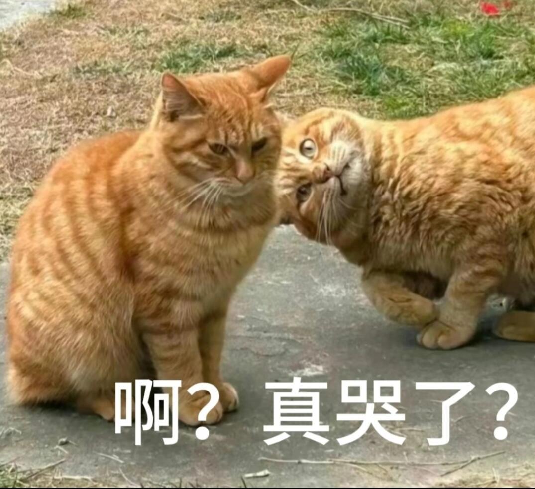 赵露思直播哭了 又哭啦？ ​​​