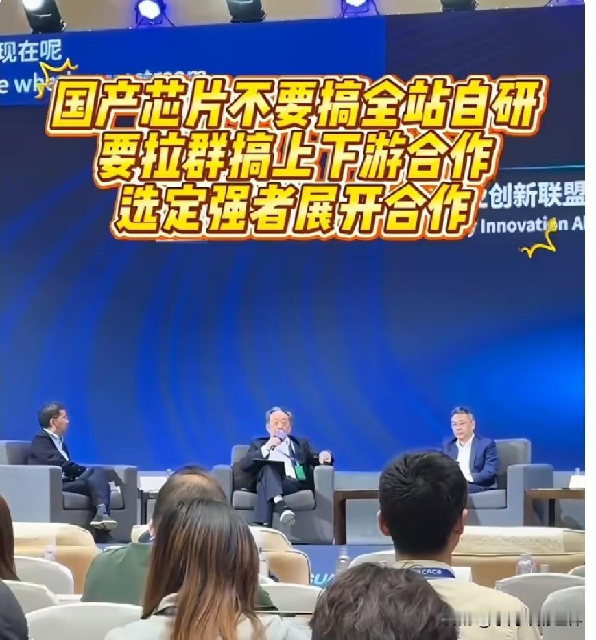 董扬：我希望中国芯片企业不要搞全站自研，要找个强有力的伙伴搞上下游合作更合适，美