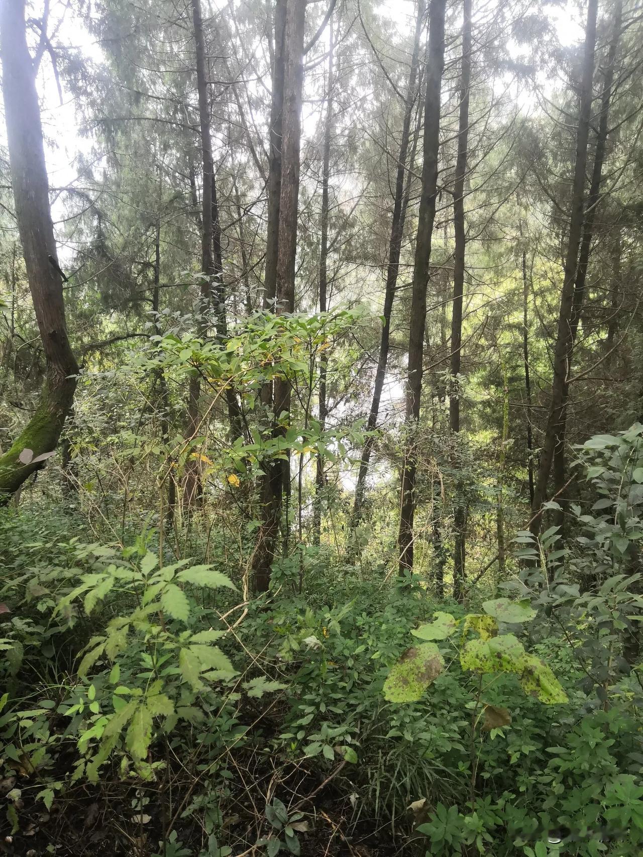 分享一张自然风景的照片，大自然的丰功伟绩，大自然的地形面貌，不得不说这是很美的感