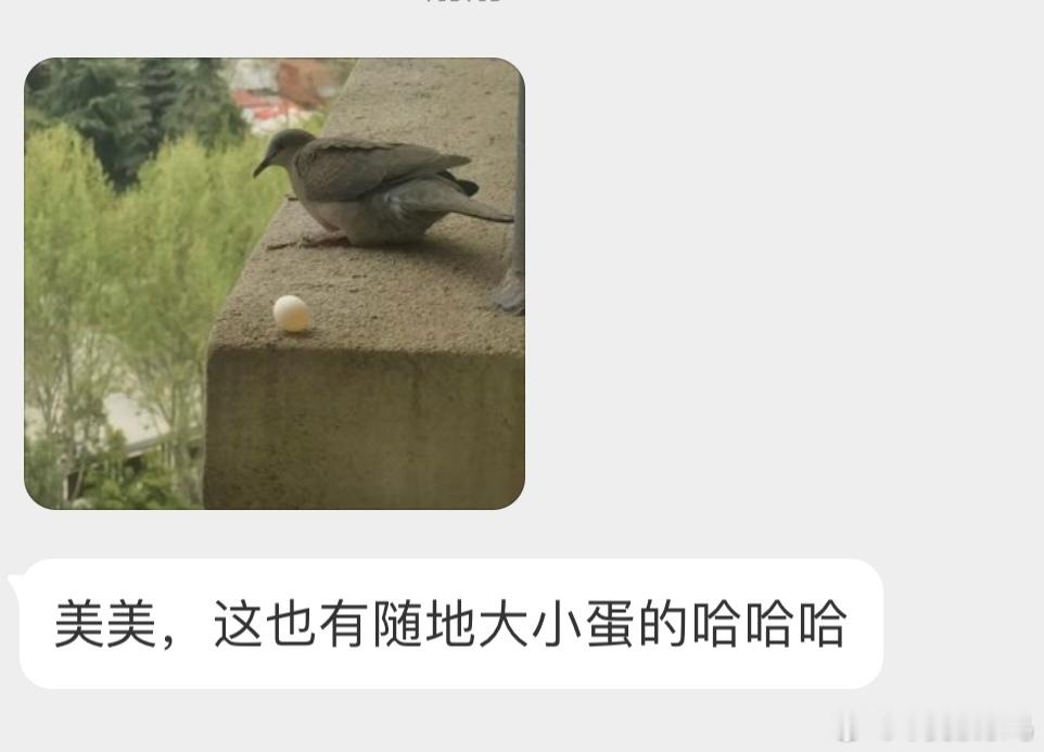 蛋 危！ ​​​