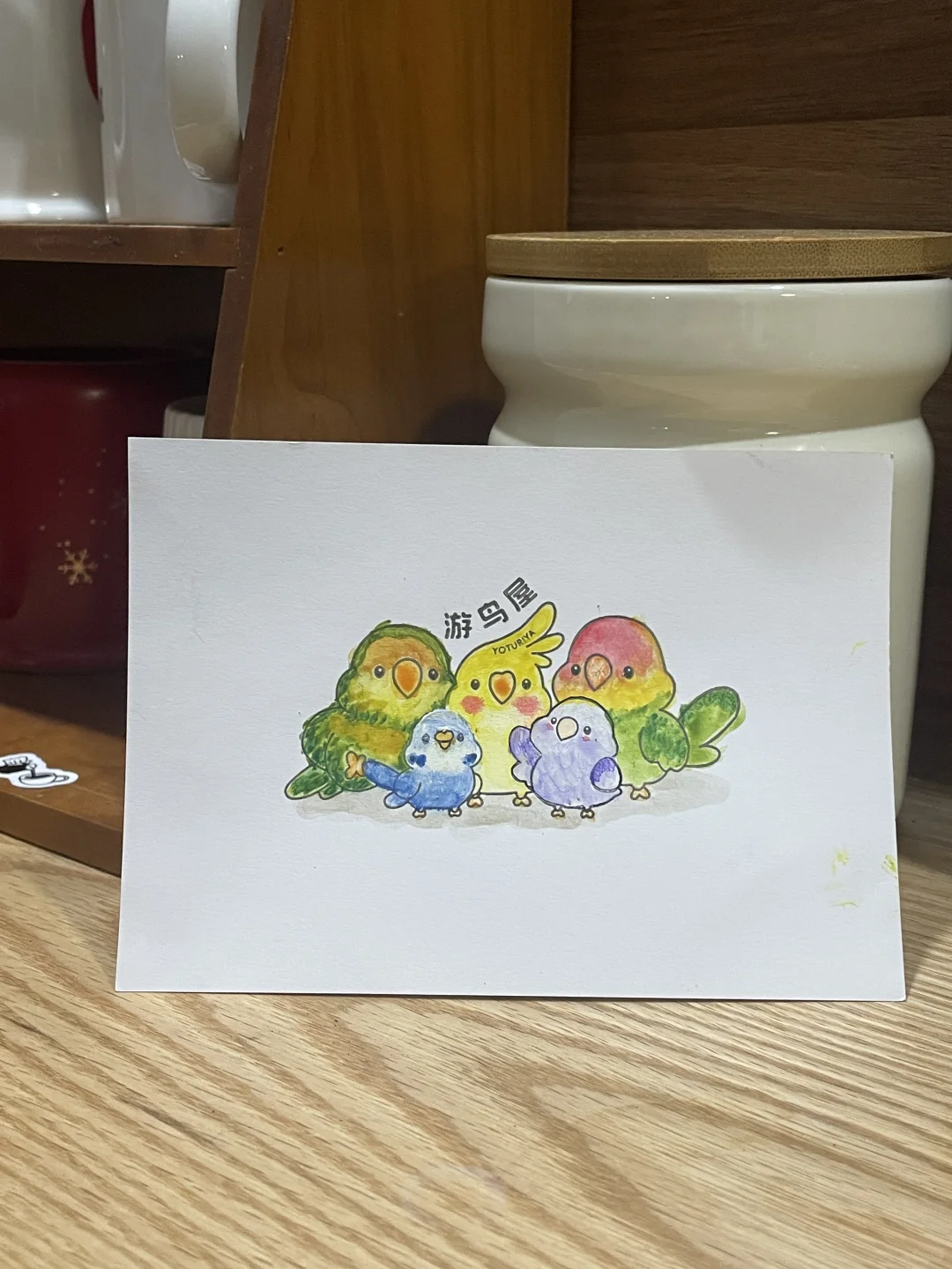 收到小鸟寄来的明信片啦💌