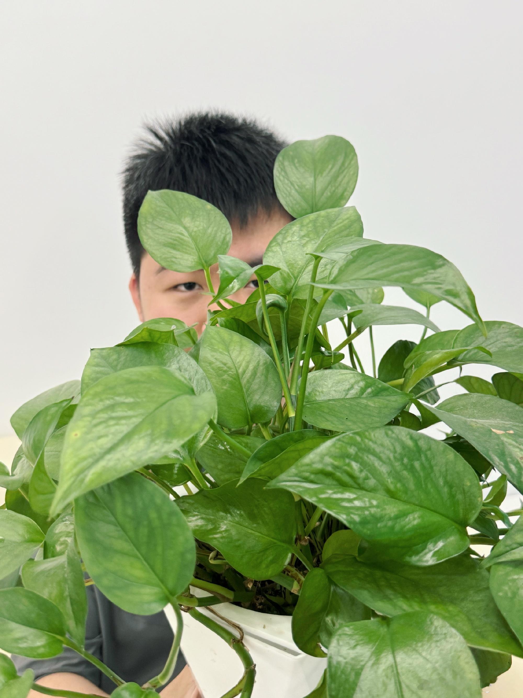 相似度百分百来了