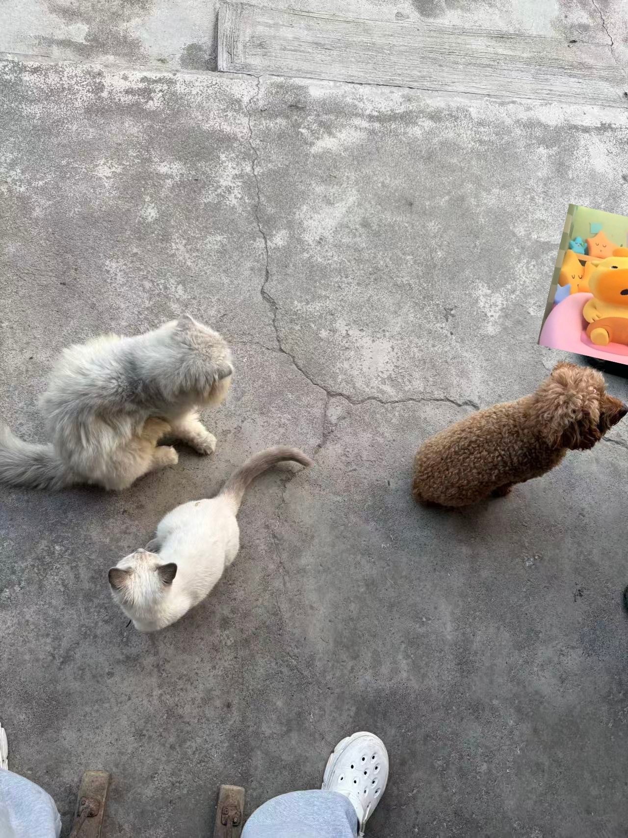 我的宝宝们真的好乖 ​​​