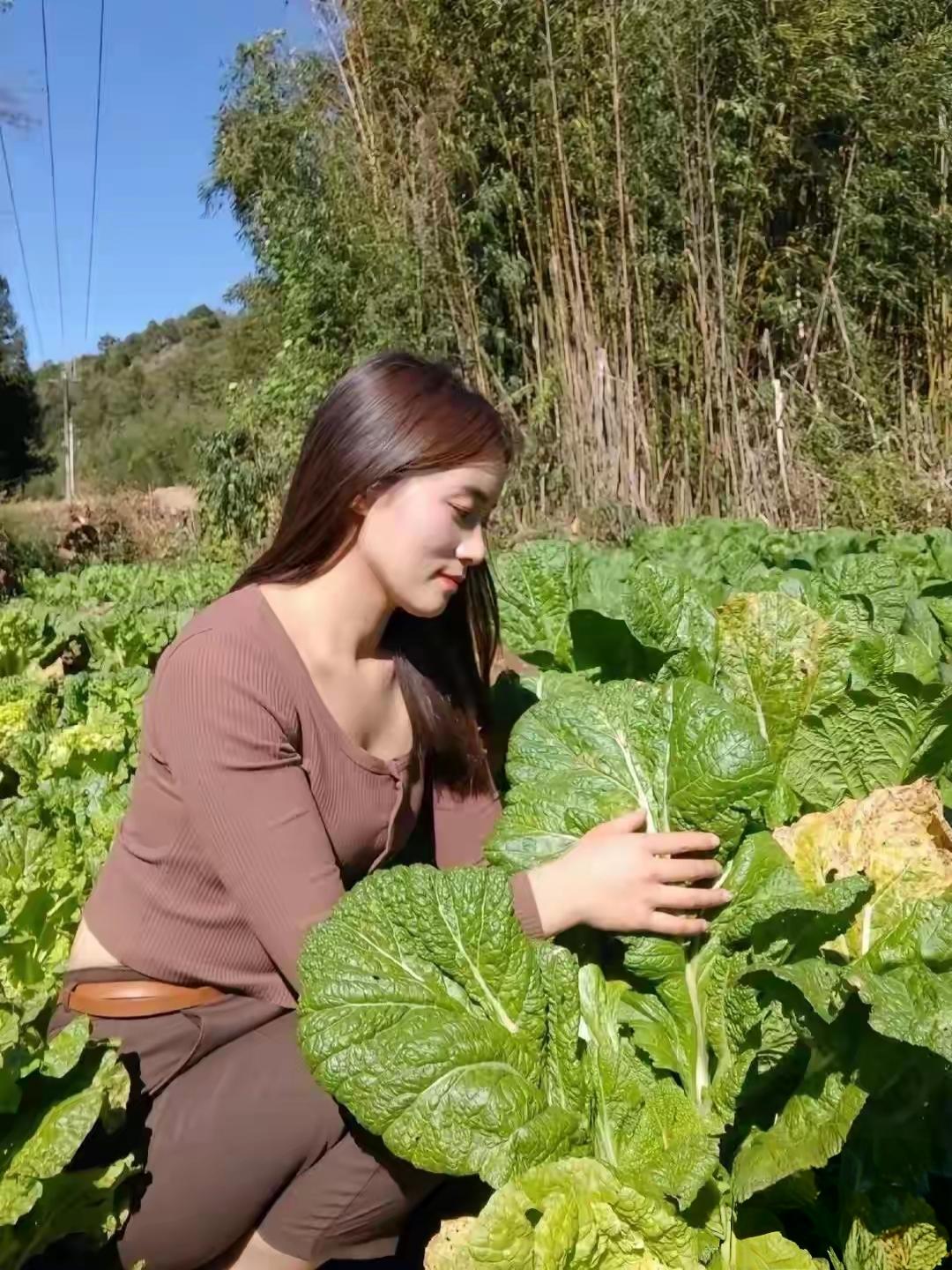 在阳光下采摘新鲜蔬菜，感受大自然的美好！🌿🌞