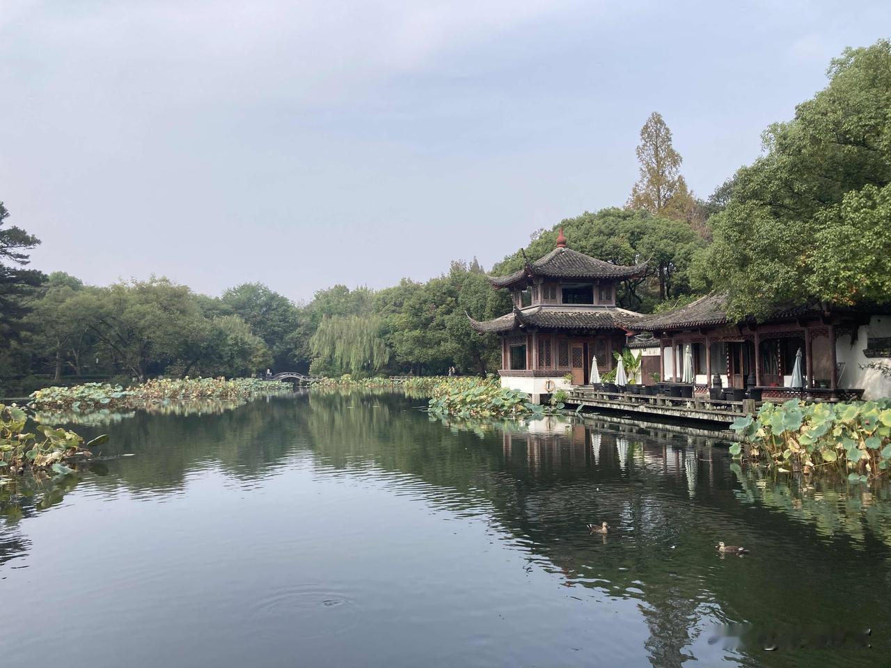 分享一张自然风景照