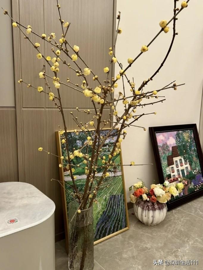 过年从深圳回老家，我妈让我给舅舅买烟买酒，给两个姨妈各拿1000块钱。我不太愿意