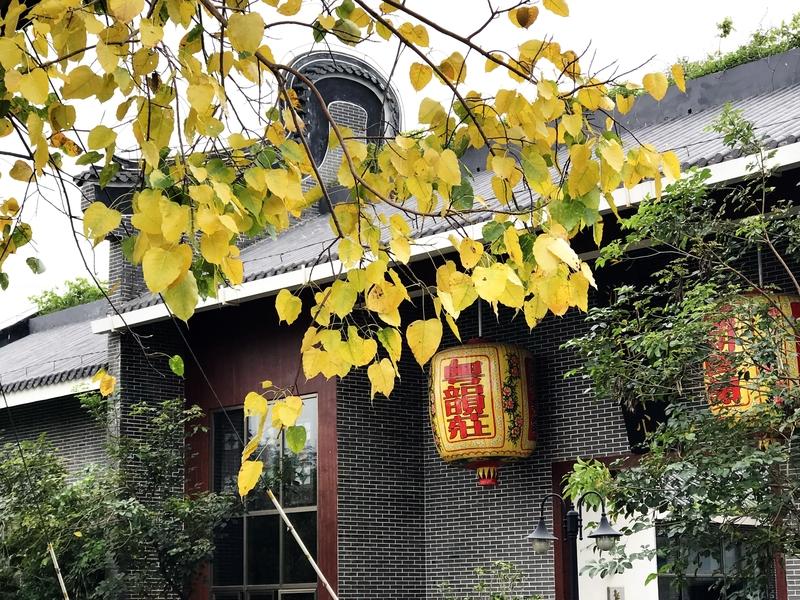 人生大彻大悟，往往不是听来的道理，而是被“痛”逼出来的。就像王阳明，从小是神童，