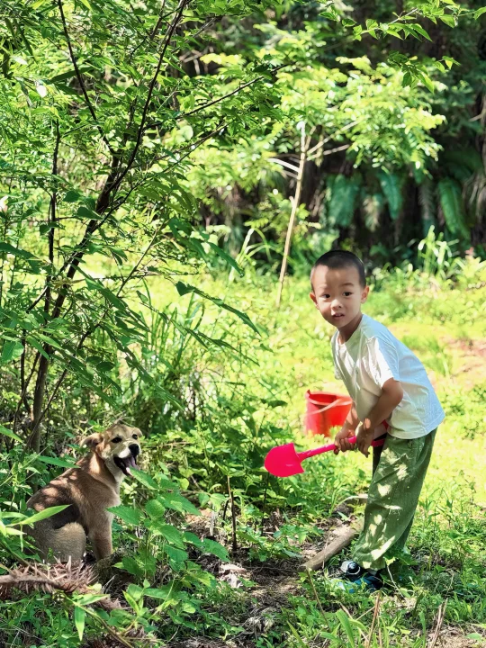 高敏感孩子需要的是被父母坚定地选择！