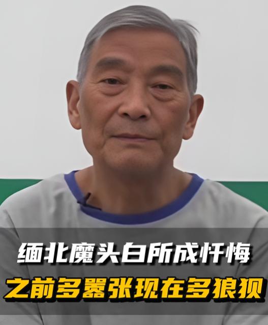 白所成已经羁押近两年时间了，估计白所成最大的愿望，就是要拖到2026年以后再审判