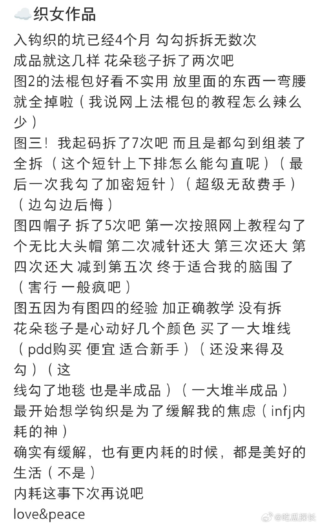 陈小纭入钩织坑 被陈小纭的钩织碎碎念可爱到！说网上法棍包教程少，原来是 “美丽废