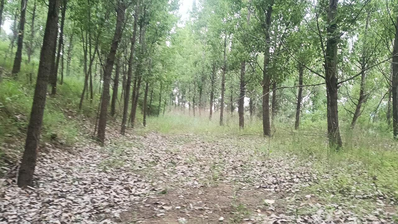 记住，形意拳中的勾挂，
不只有五指的撕拉，
还有手腕的勾挂，
比如崩拳就是很鲜明