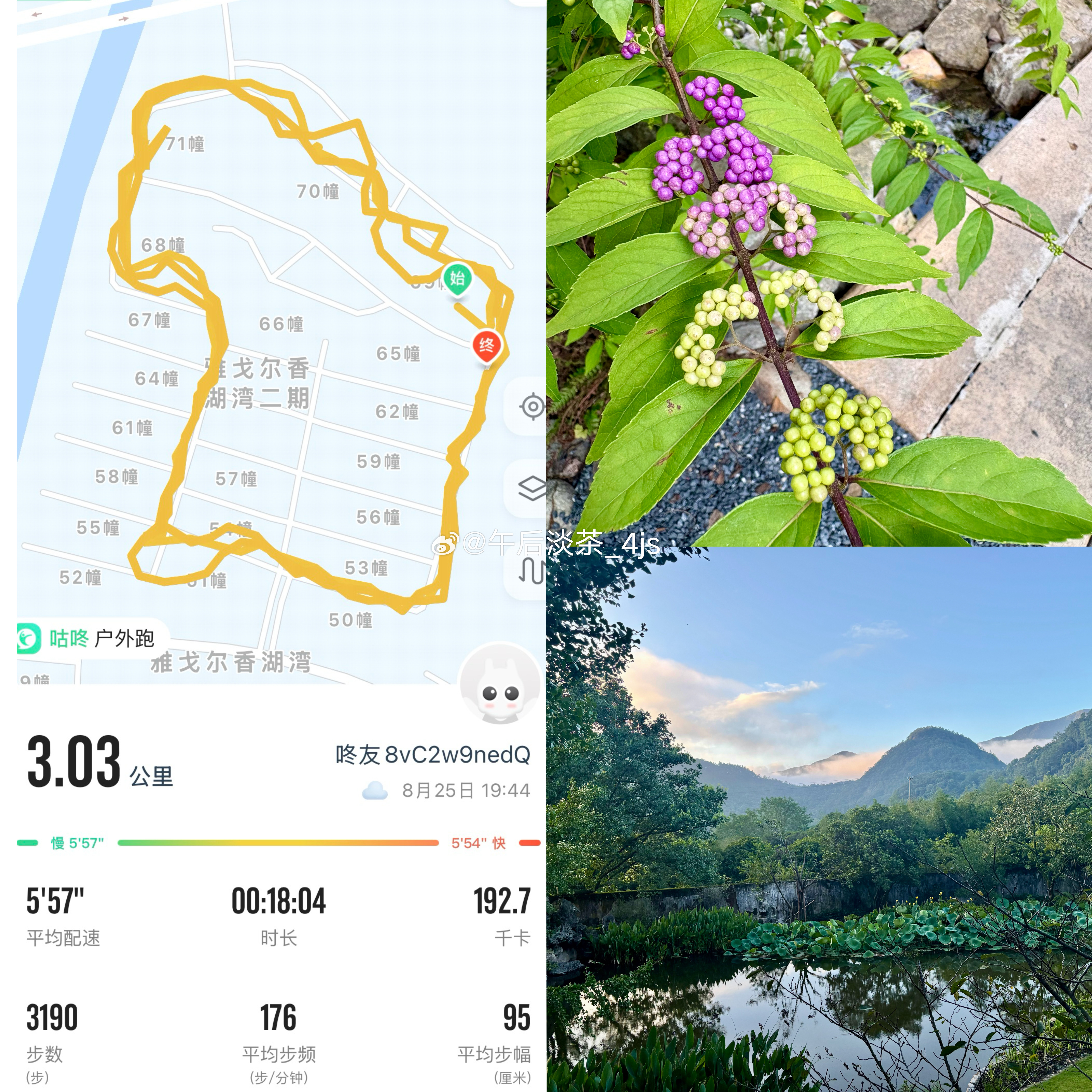 过着八戒的日子，却想着悟空的身材！[笑cry]一搜记录，最后一次跑步🏃‍♀️4