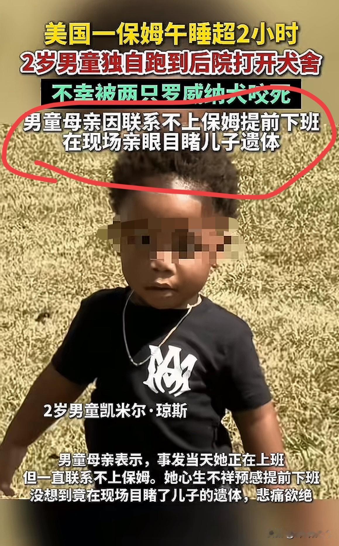 炸裂！美国保姆睡过头，2岁娃被罗威纳咬死！这事儿你怎么看？

就因为保姆午睡超过