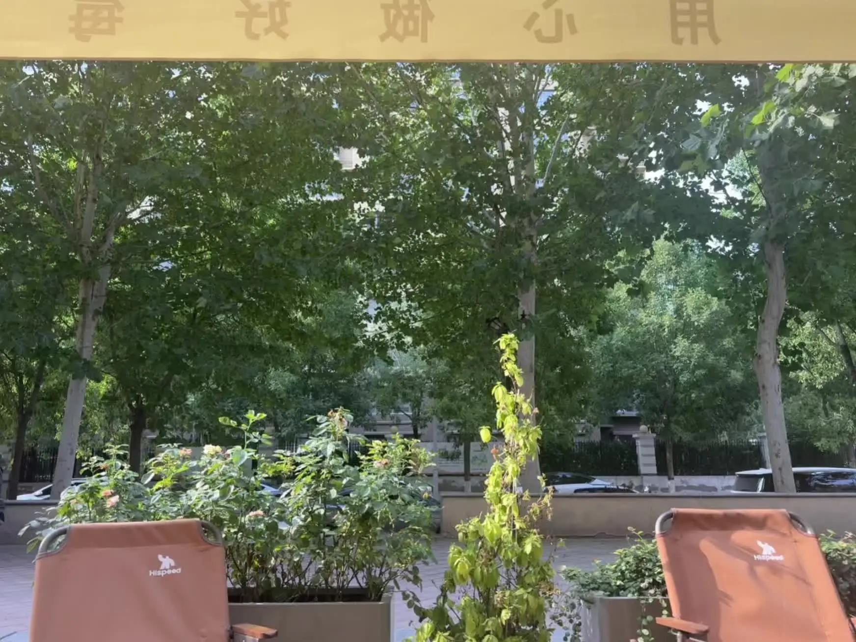 夏天 vlog日常 高温天气 原创视频
