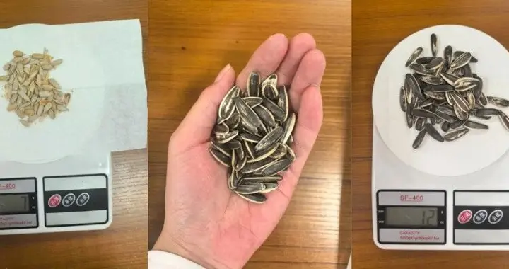 每逢过节胖三斤？这几个方法帮你减负，超简单