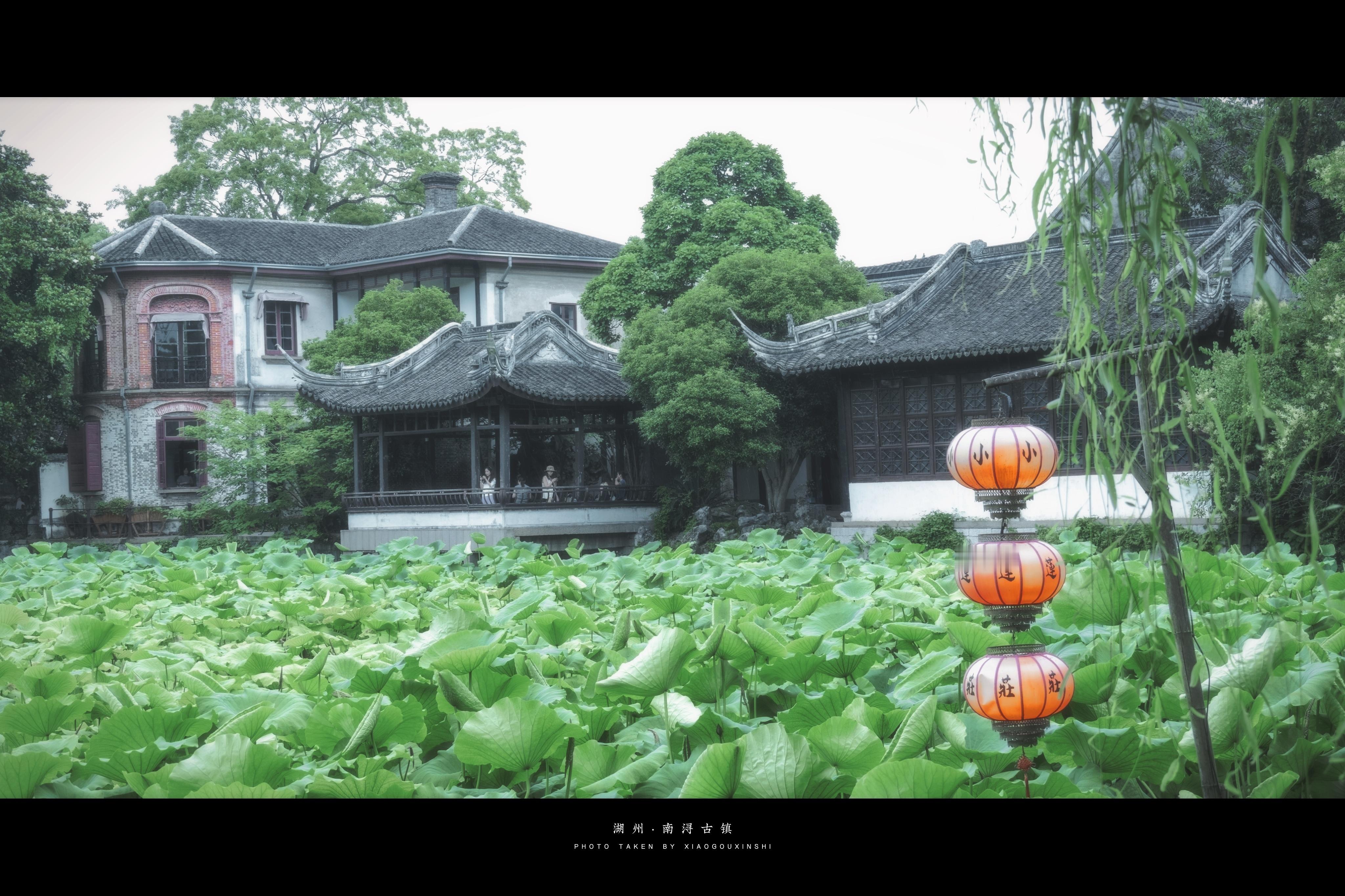 📸🍃浸绿 