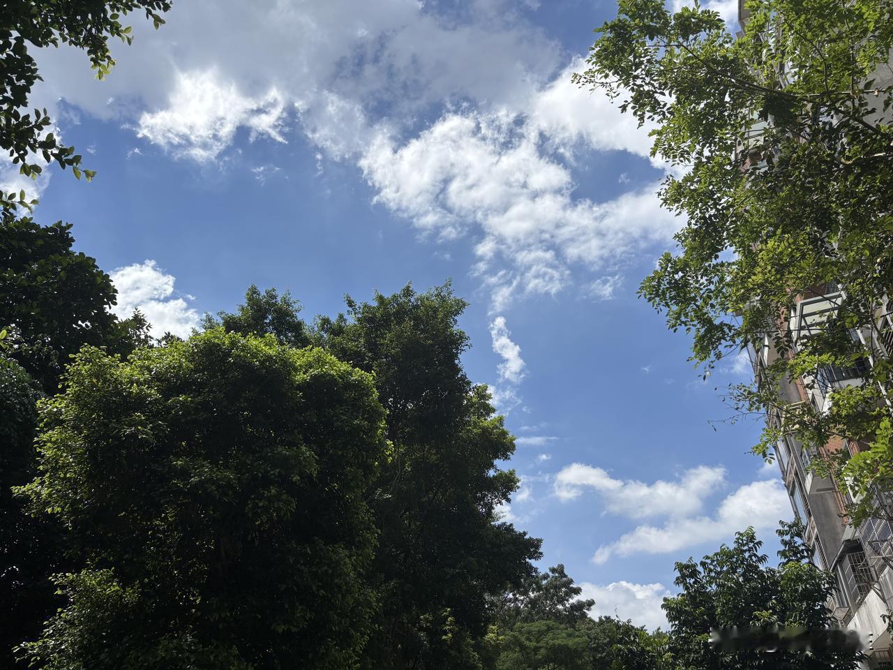 台风过后的广州天河，水洗的天空，蓝的如同镜子一样清澈明亮。