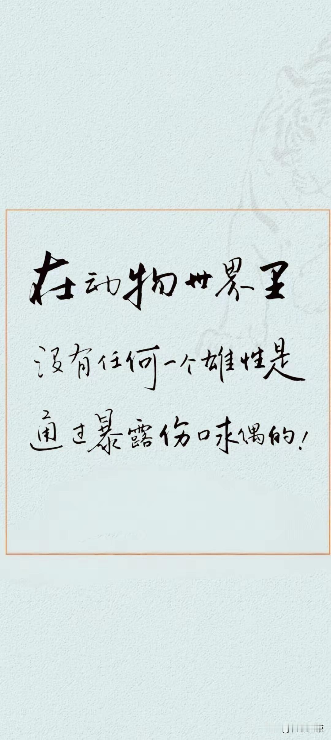这个朴素道理核心是别靠展露伤口换怜悯，要靠自身闪光点吸引人~践行时别总卖惨求迁就