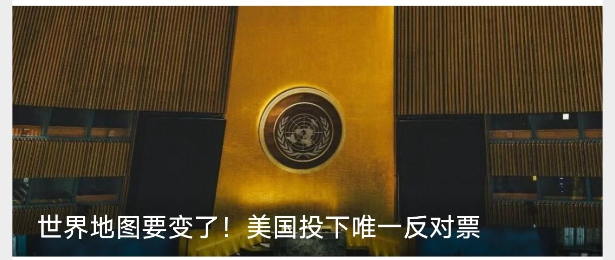 我们要注意区分一件事，在G20，中国投的是否决票，因为中国有责任有能力有智慧为了