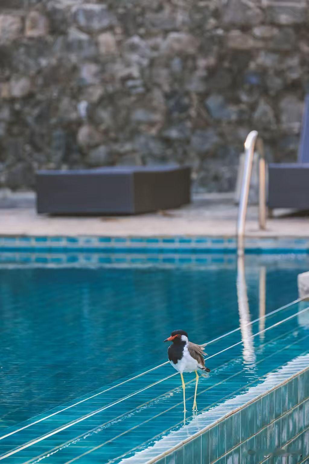 分享一下你随手拍下的照片