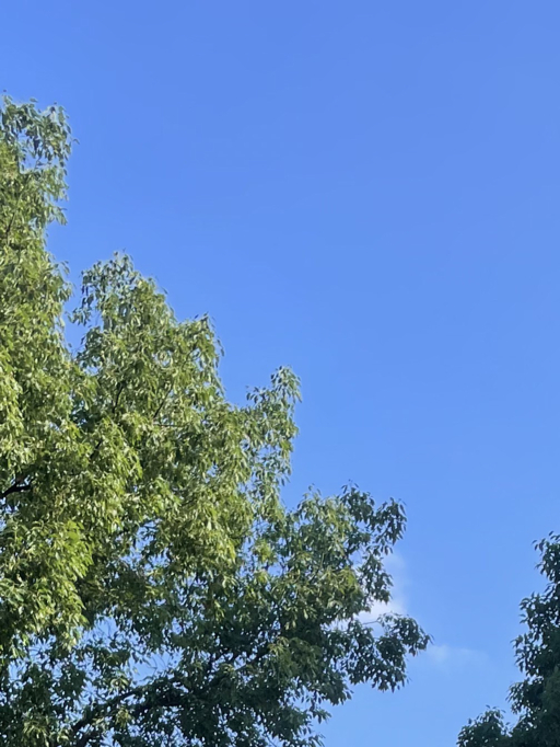 每日一善  阳光信用 心怀温柔行善，带着对曾沛慈的热爱向阳而行。下午好