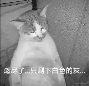 人跟人之间的智商，差别真的很大！人跟人之间的运气，差别也真的很大！ 
