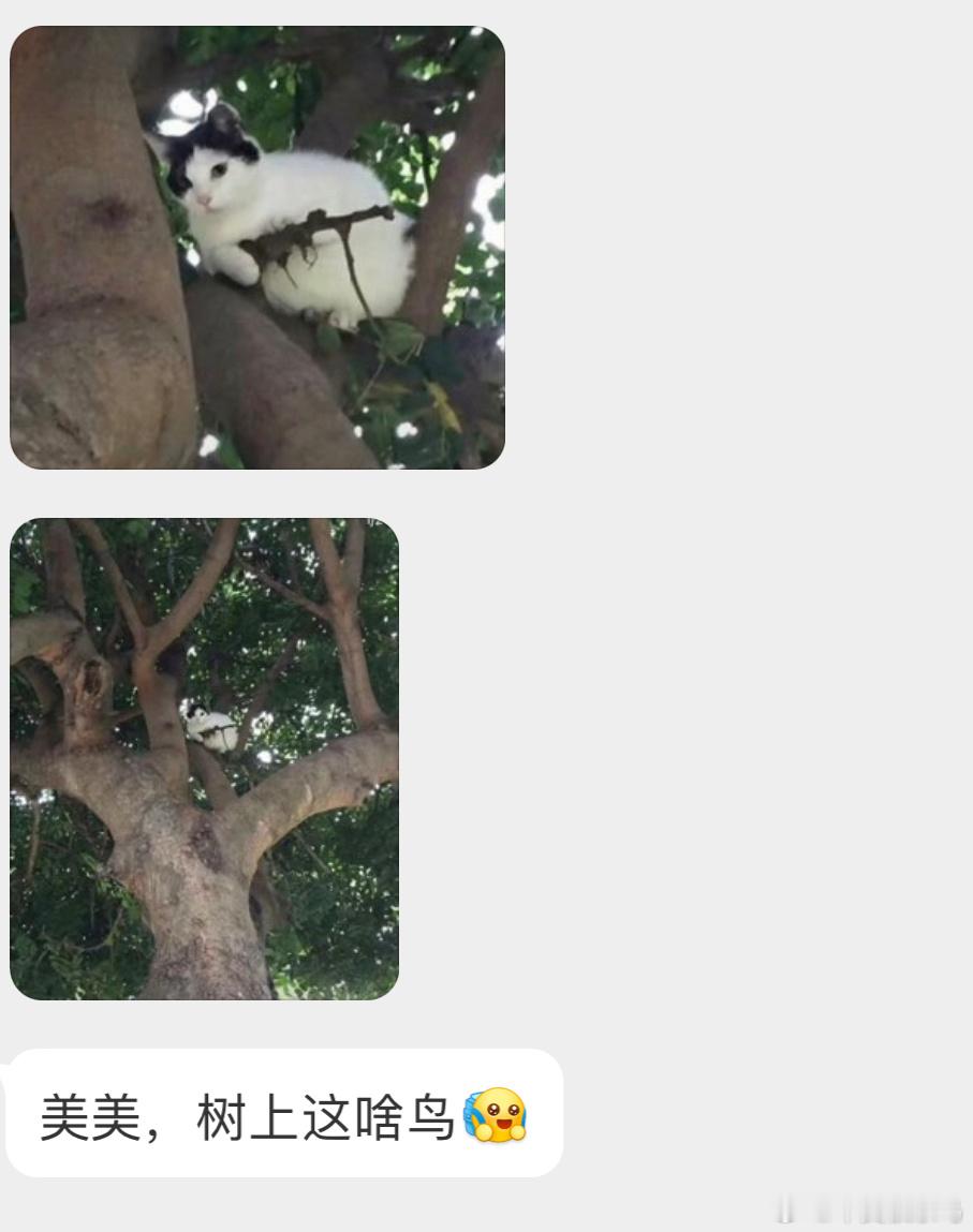 ？？？给我是难住了 ​​​