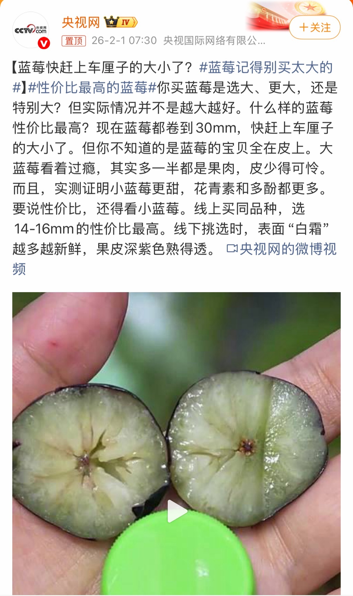 学废了！性价比最高的蓝莓