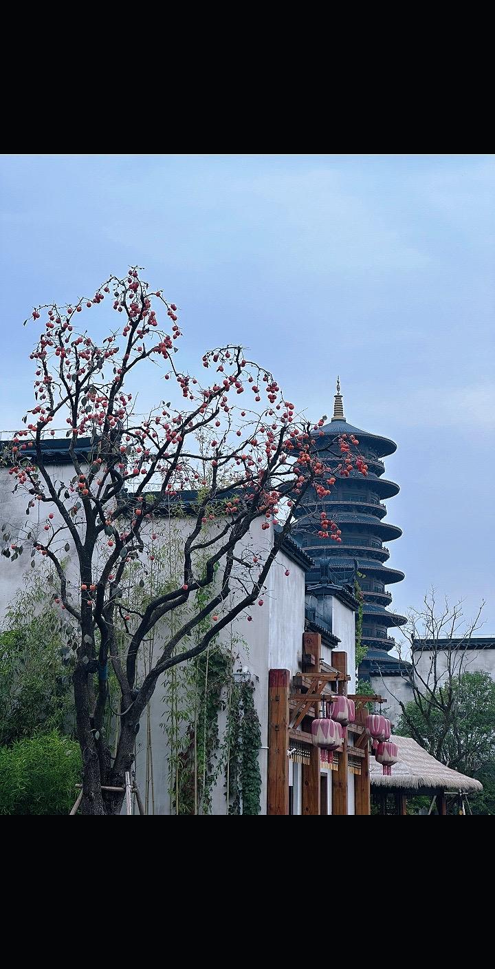 莫问归去。