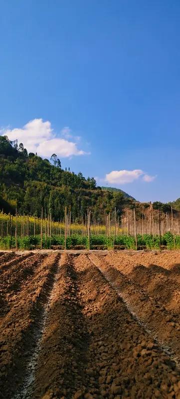 以后没人种地，只依赖进口绝对不可行。我国有14亿人口，每年食品配给、饲料及石油加