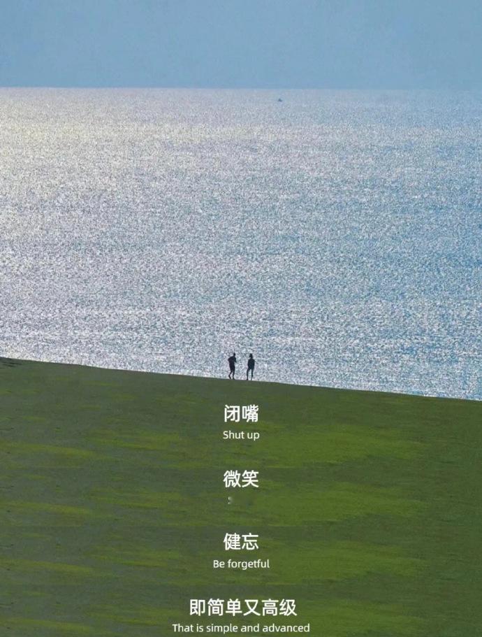 闭嘴🤐微笑😊健忘[疑问]既简单又高级 