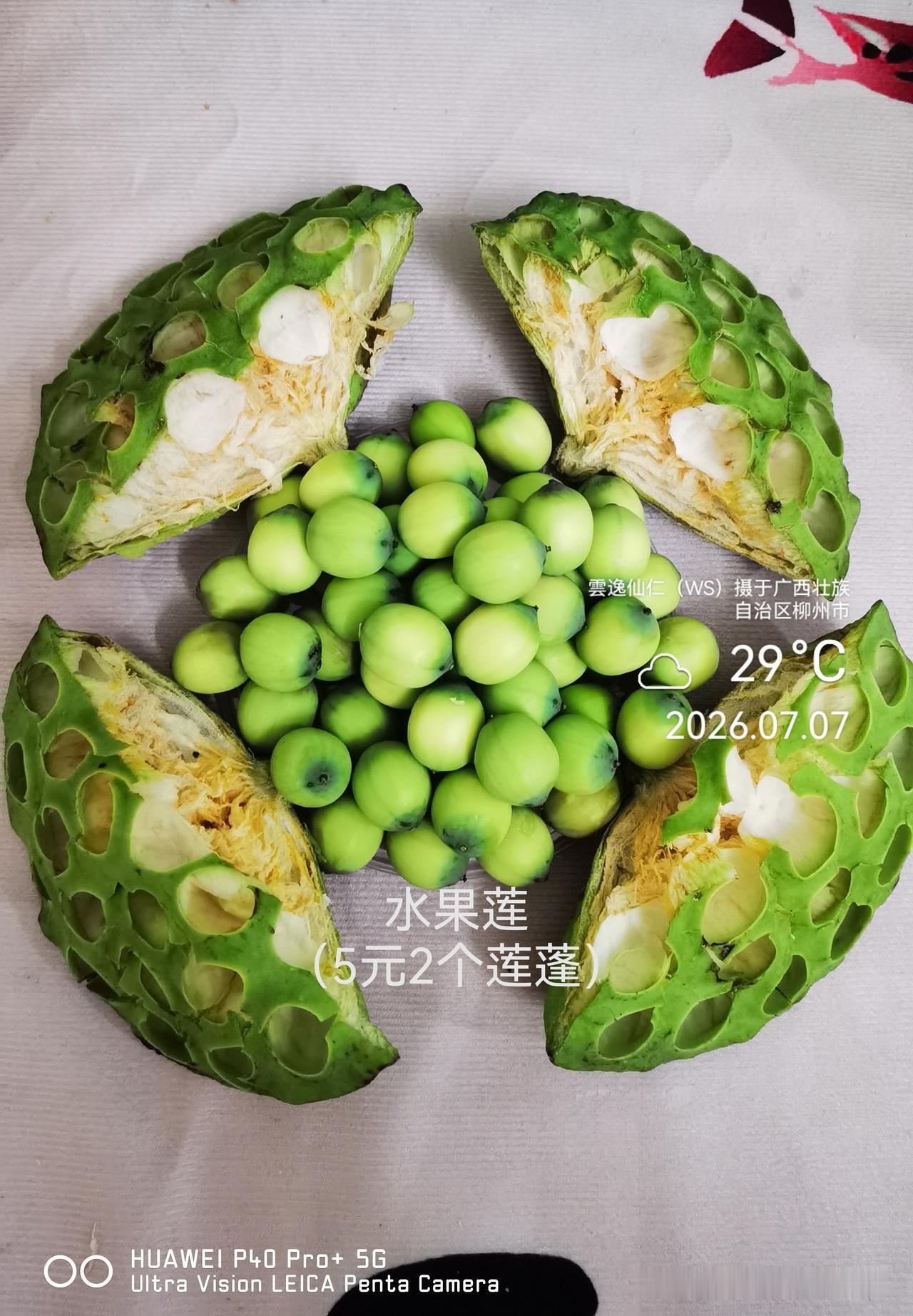 月居生活记录（10122）广西壮族自治区柳州市（159）品尝小吃40：水果莲（5
