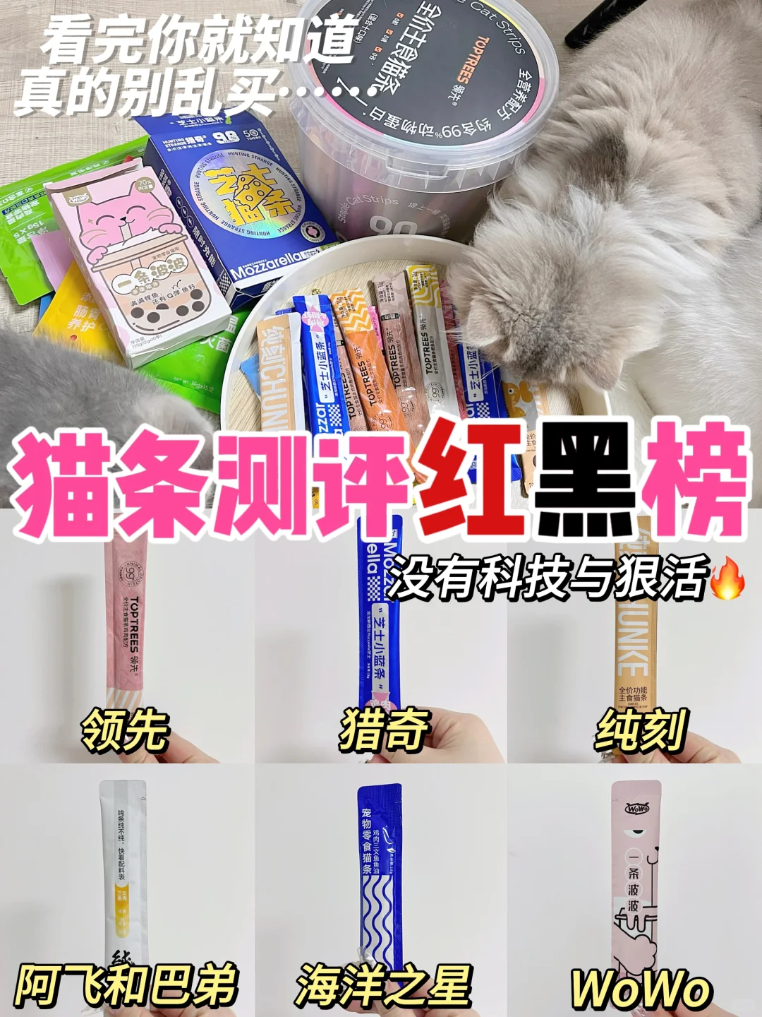 热门猫条怎么选🐾这六款猫条告诉你答案