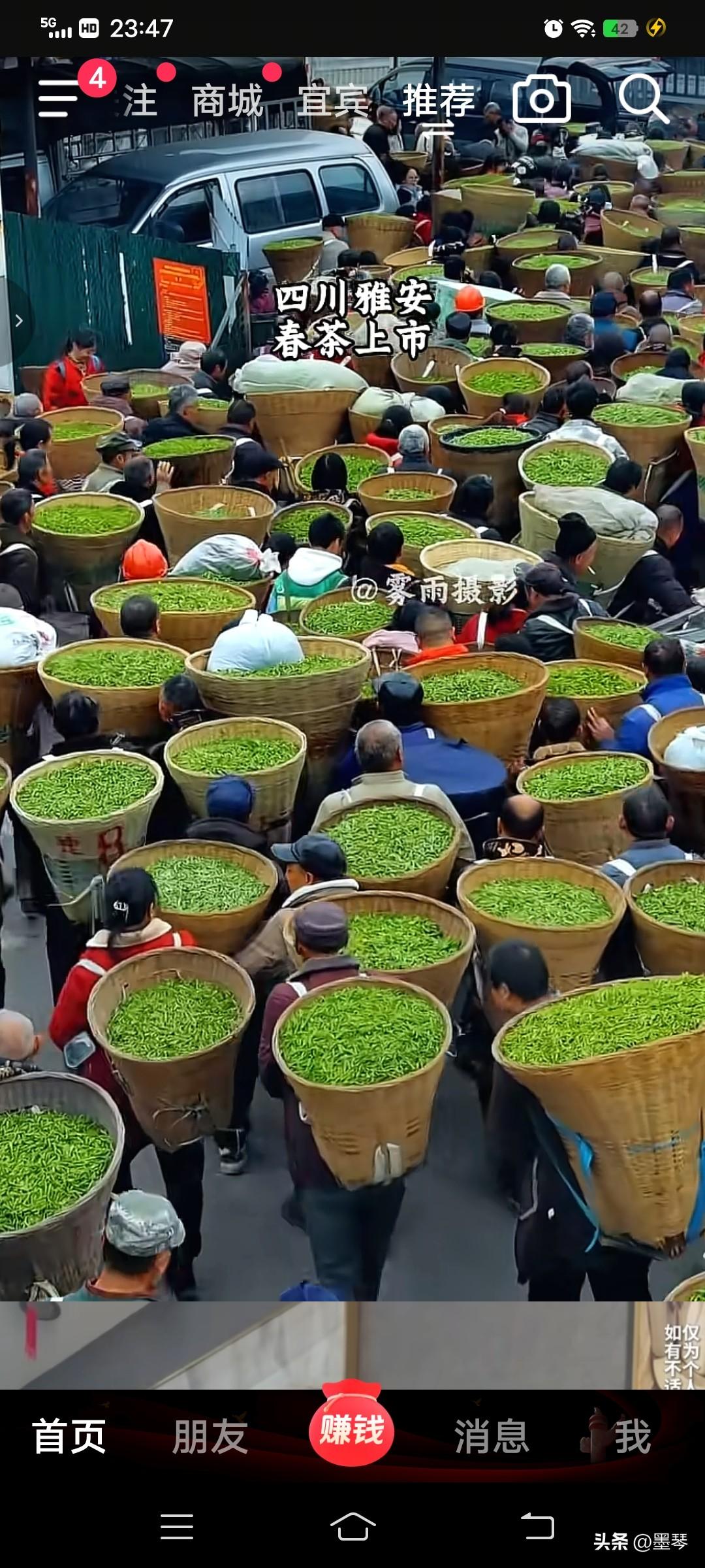 有着天府之称的四川，看雅安春茶上市，多么热闹的场景？

每年开春，雅安的茶农们就